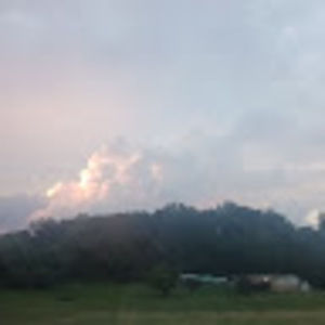 Meet your Posher, Ella